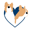 Blove Pet Needs