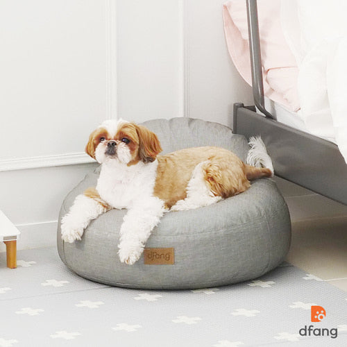 Bean bag online chairs for dogs